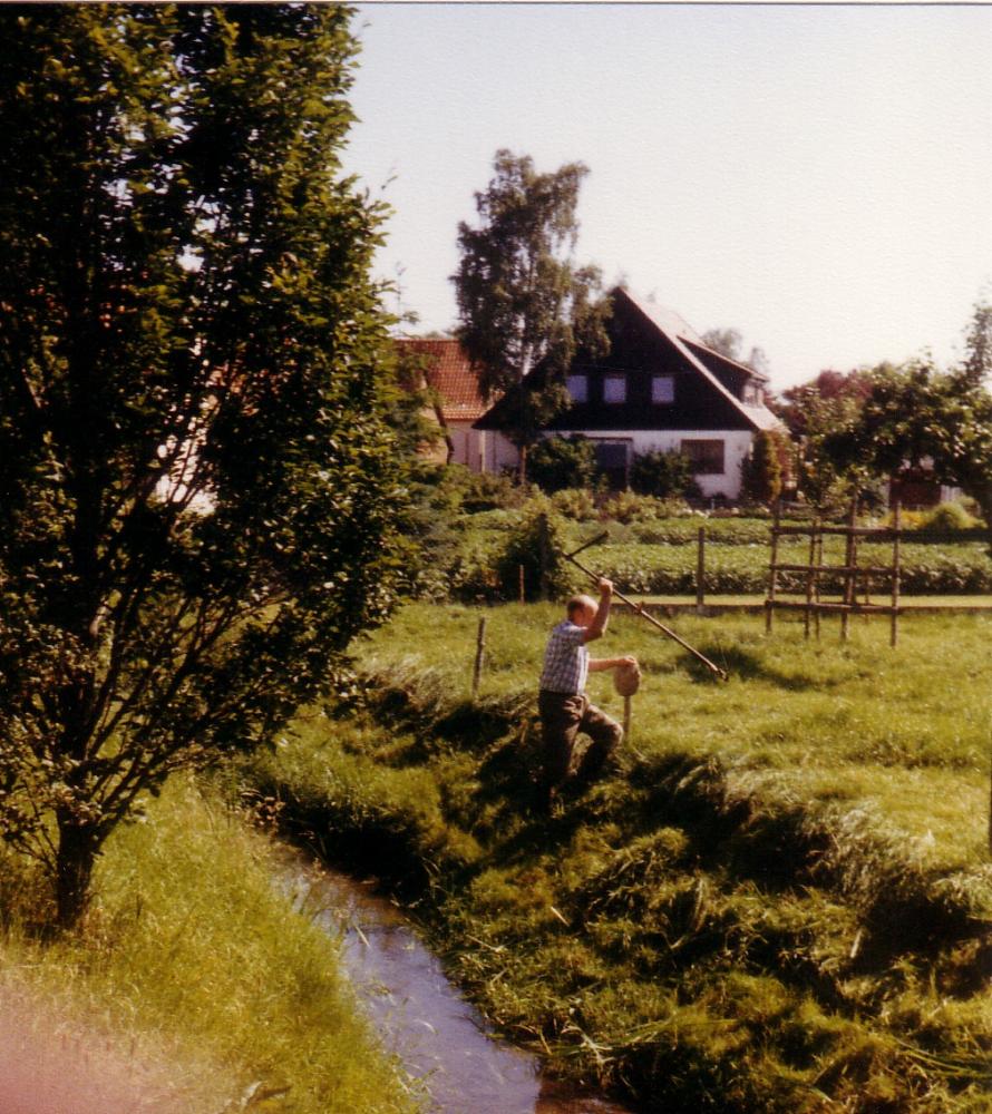 1986 Mühlenhaller