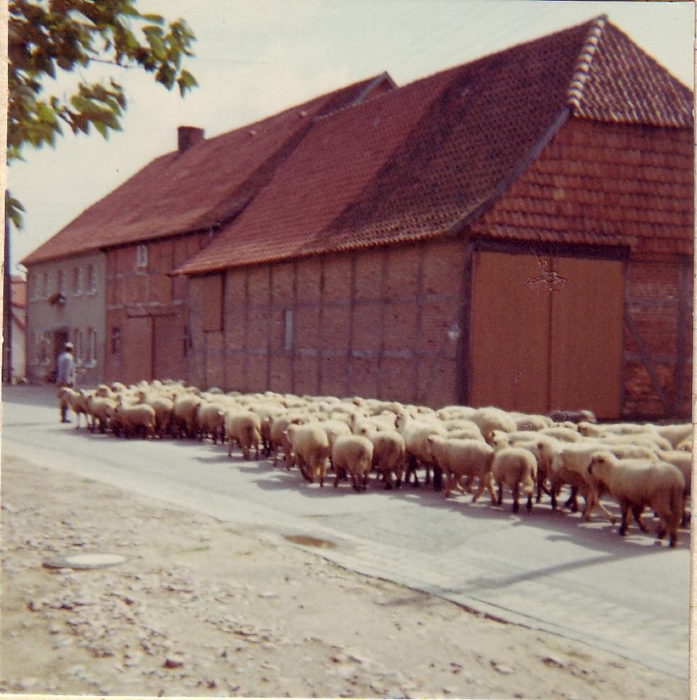 1970 Neue Rodenbeeke - Mühring