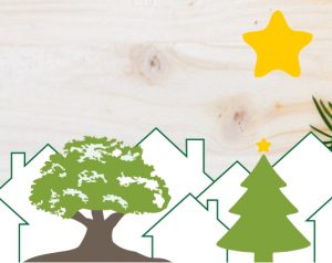 Read more about the article Lebendiger Advent in Alvesrode