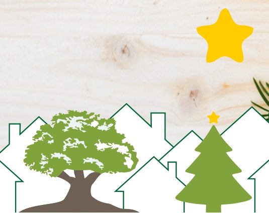 Read more about the article Lebendiger Advent in Alvesrode