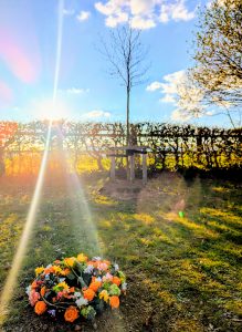 Read more about the article Baumbestattungen in Alvesrode